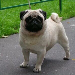 Meet your Posher, Keira